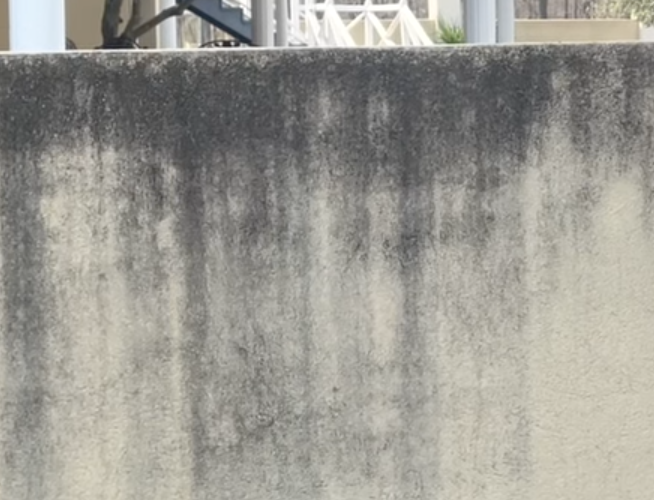 window cleaning services sunshine coast