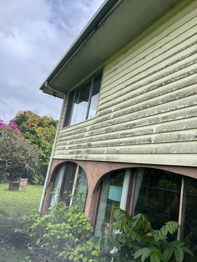 House washing before